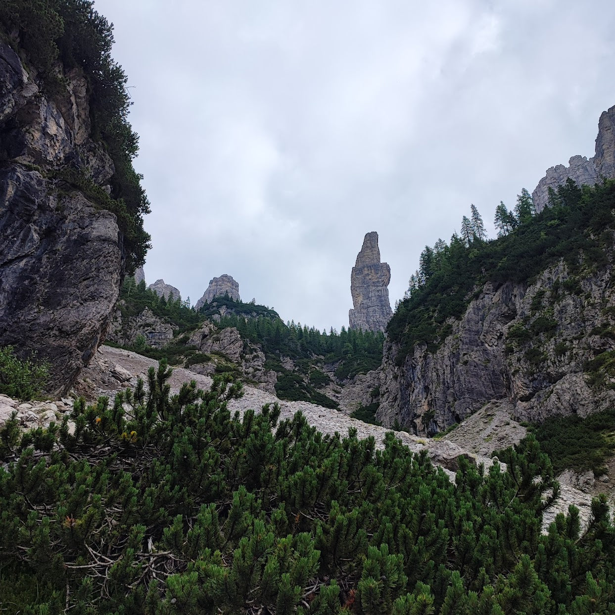 Arrampicata - Campanile Val Montanaia - Cristiano Gregnanin Guida Alpina Certificata Dolomiti