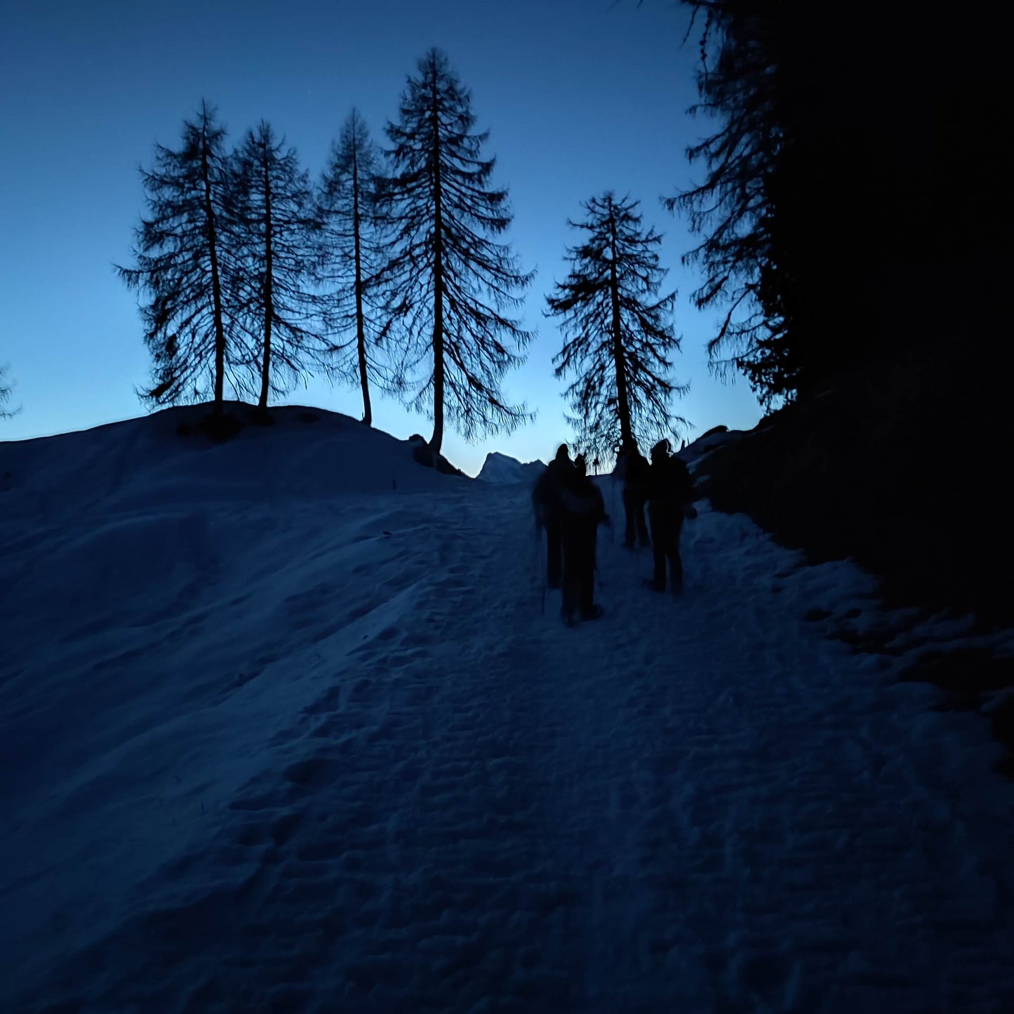 Ciaspolata notturna al rifugio Citta di Fiume con cena in rifugio - Cristiano Gregnanin Guida Alpina Certificata Dolomiti