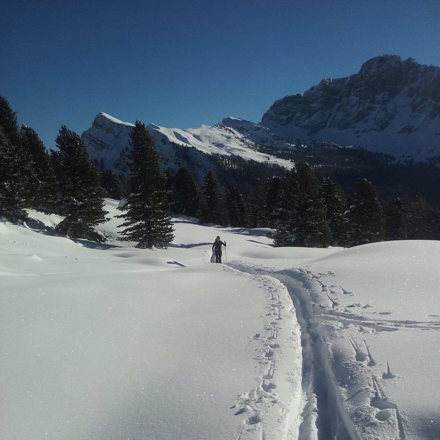 Sci alpinismo a cima Bocche - Cristiano Gregnanin Guida Alpina Certificata Dolomiti