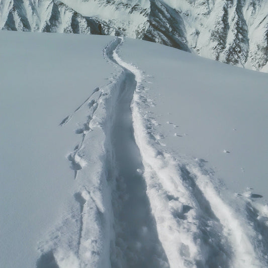 Artva Day - Esercitazione utilizzo di artva pala e sonda - Cristiano Gregnanin Guida Alpina Certificata Dolomiti