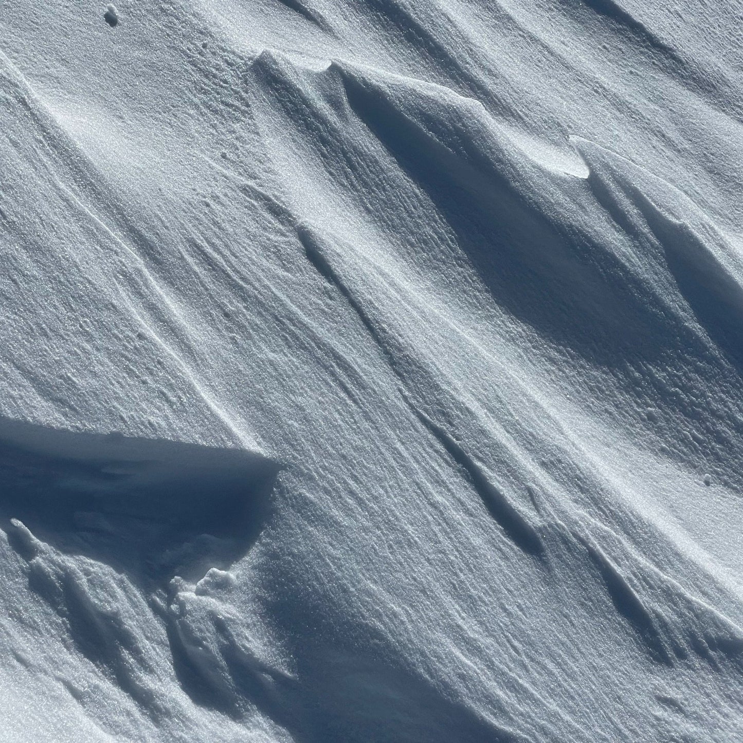 Artva Day - Esercitazione utilizzo di artva pala e sonda - Cristiano Gregnanin Guida Alpina Certificata Dolomiti