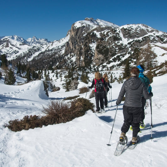 Ciaspolata a passo Falzarego - Cristiano Gregnanin Guida Alpina Certificata Dolomiti