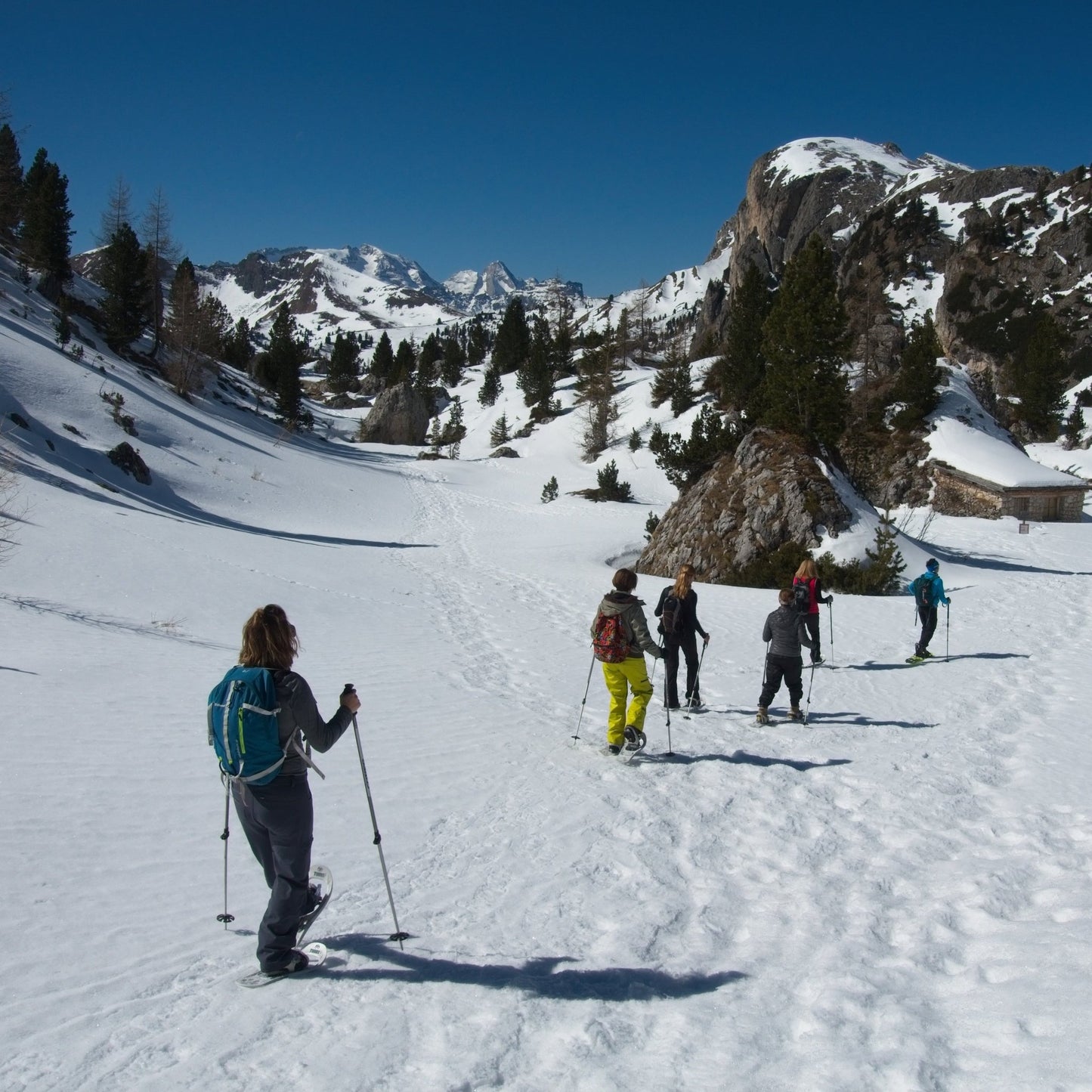 Ciaspolata a passo Falzarego - Cristiano Gregnanin Guida Alpina Certificata Dolomiti