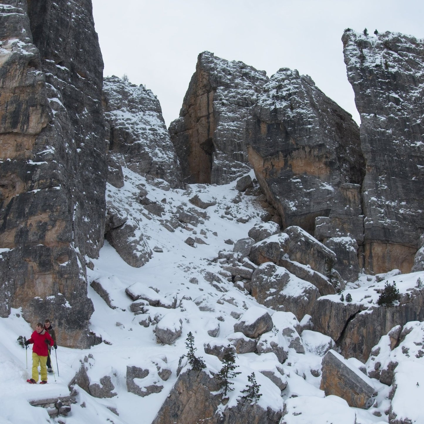 Ciaspolata a passo Falzarego - Cristiano Gregnanin Guida Alpina Certificata Dolomiti