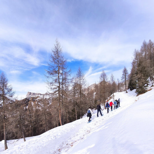 Ciaspolata al rifugio Citta di Fiume - Cristiano Gregnanin Guida Alpina Certificata Dolomiti