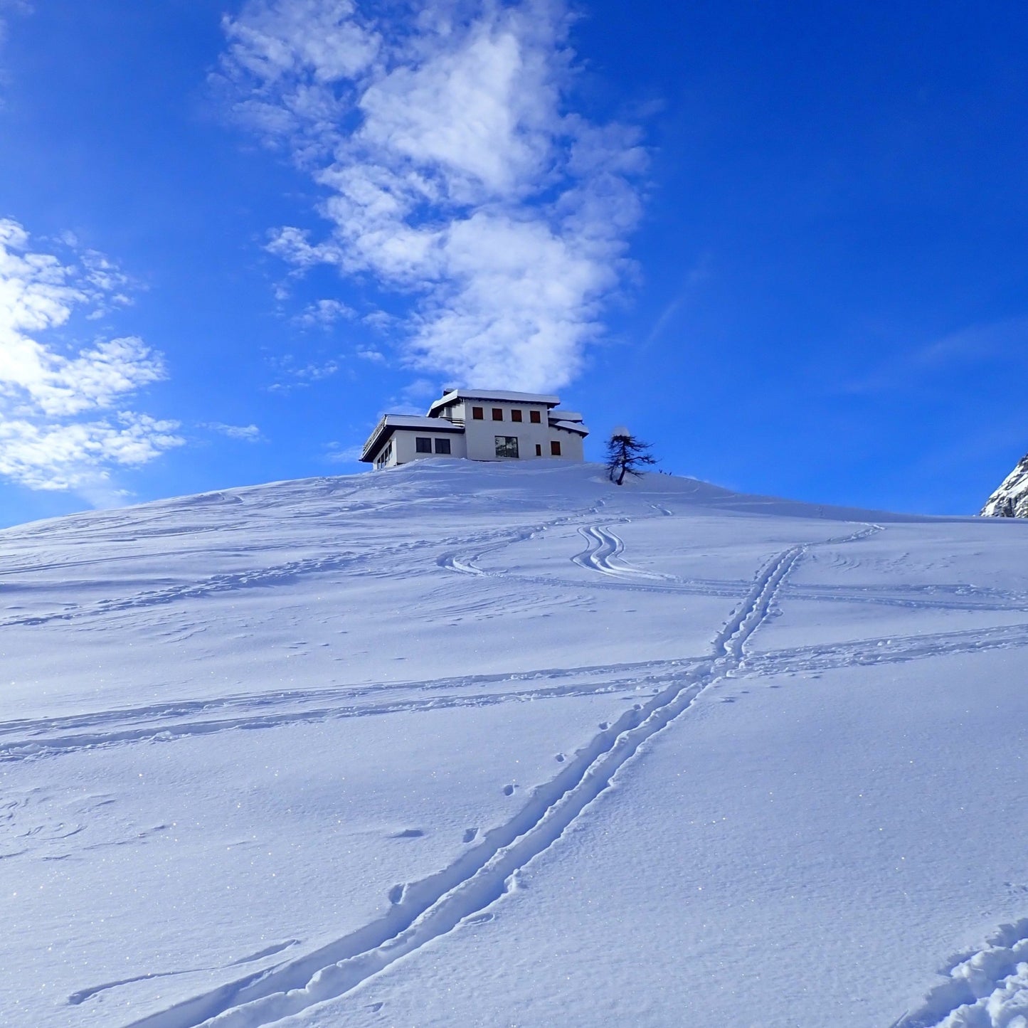 Ciaspolata al rifugio Scarpa - Cristiano Gregnanin Guida Alpina Certificata Dolomiti