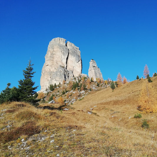 Cinque Torri - Giornata di arrampicata - Cristiano Gregnanin Guida Alpina Certificata Dolomiti