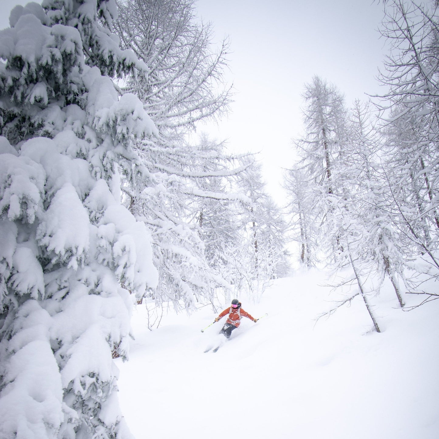 Corso freeride - sci fuori pista - Cristiano Gregnanin Guida Alpina Certificata Dolomiti