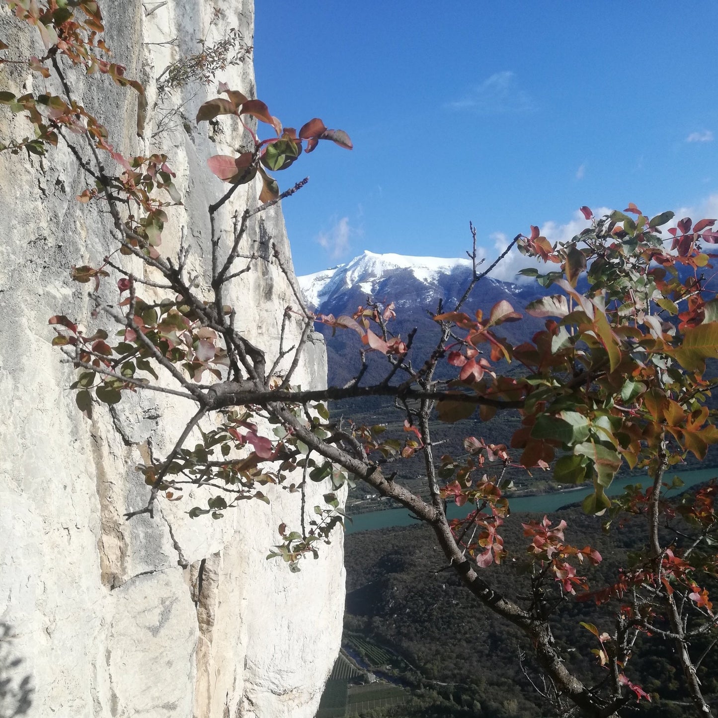 Lago di Garda - Diedro Manolo - Cristiano Gregnanin Guida Alpina Certificata Dolomiti
