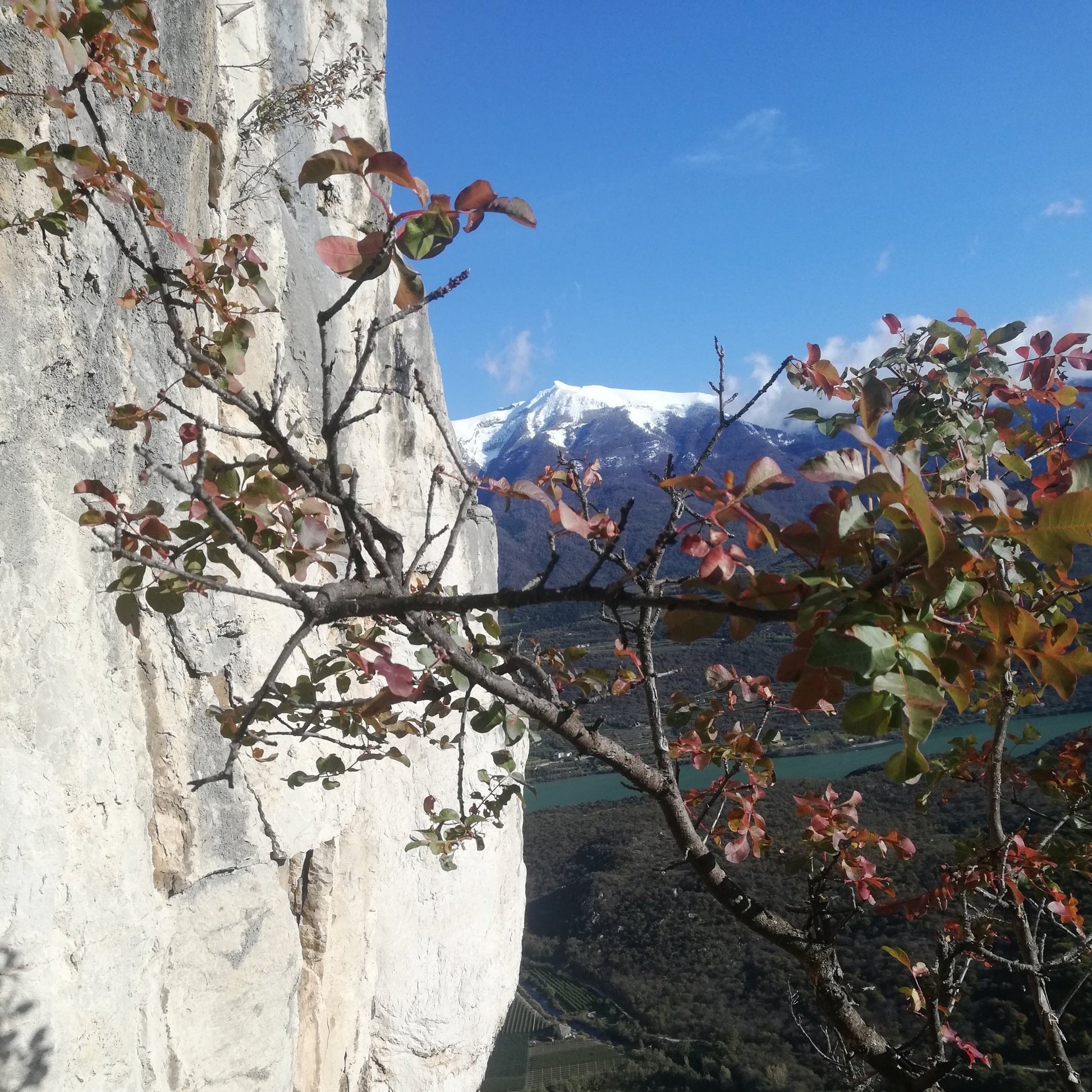 Lago di Garda - Diedro Manolo - laguidalpina.it - Guida Alpina Cristiano Gregnanin