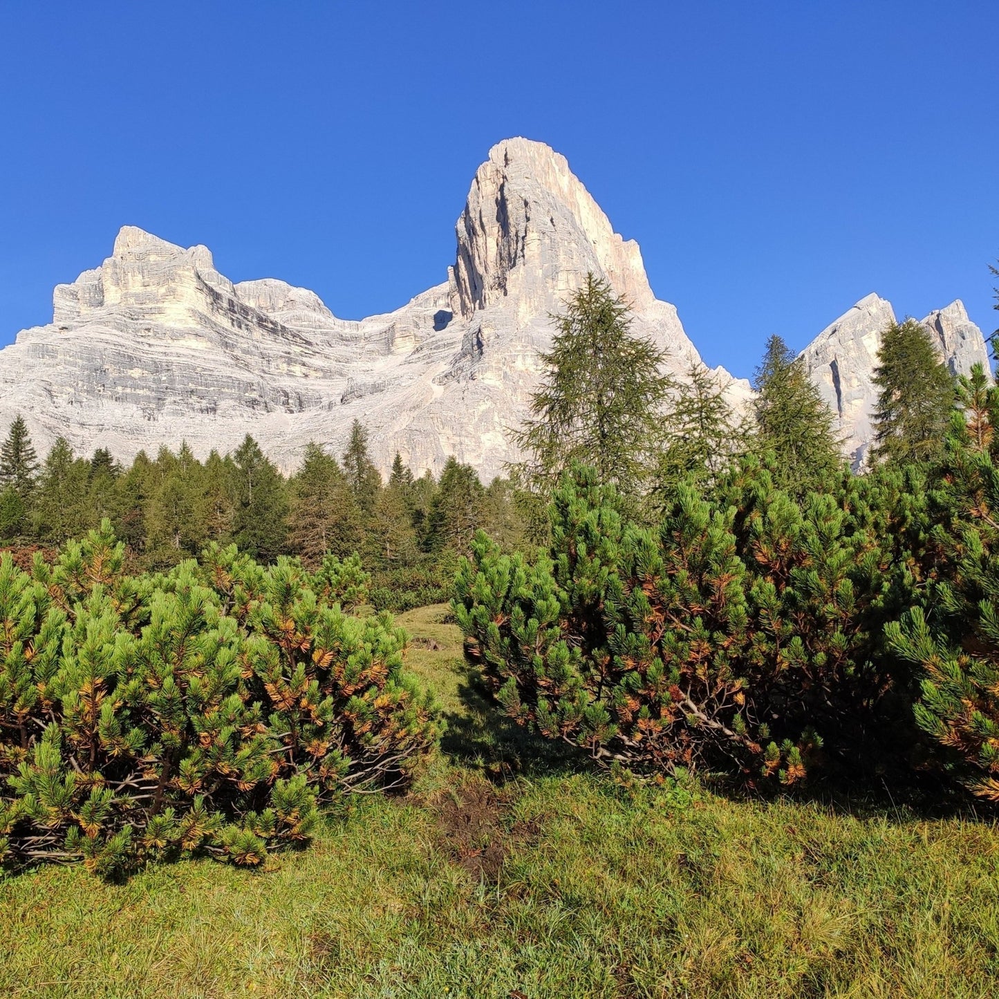 Pelmo - via Normale - Cristiano Gregnanin Guida Alpina Certificata Dolomiti