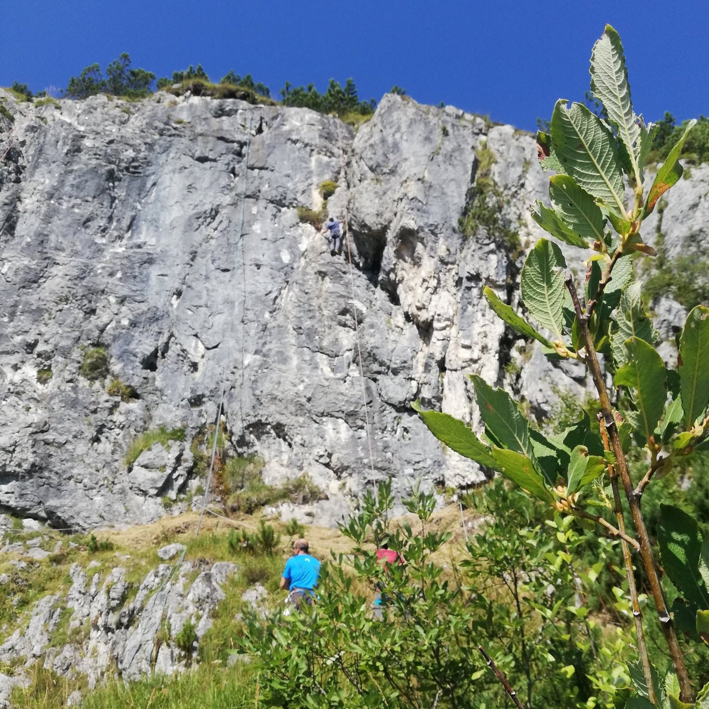 Rifugio Scarpa - Giornata di arrampicata - Cristiano Gregnanin Guida Alpina Certificata Dolomiti