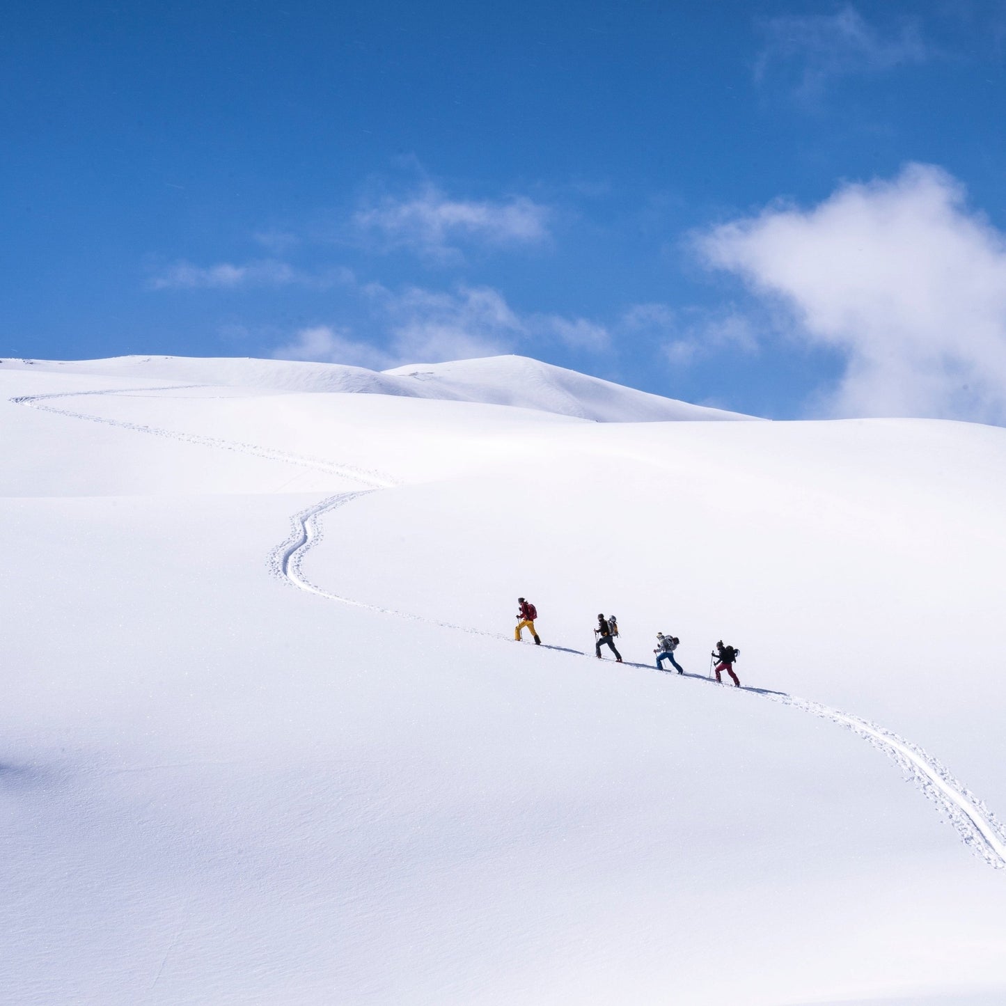 Scialpinismo - uscita facile livello MS - Cristiano Gregnanin Guida Alpina Certificata Dolomiti