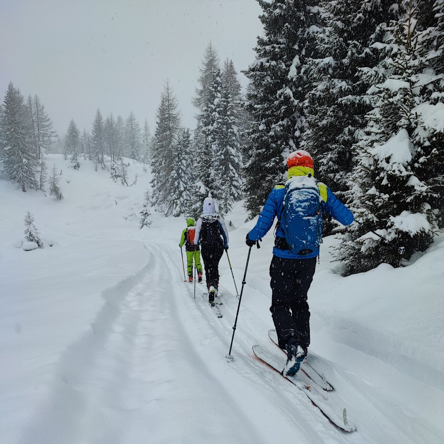 Scialpinismo - uscita facile livello MS - Cristiano Gregnanin Guida Alpina Certificata Dolomiti
