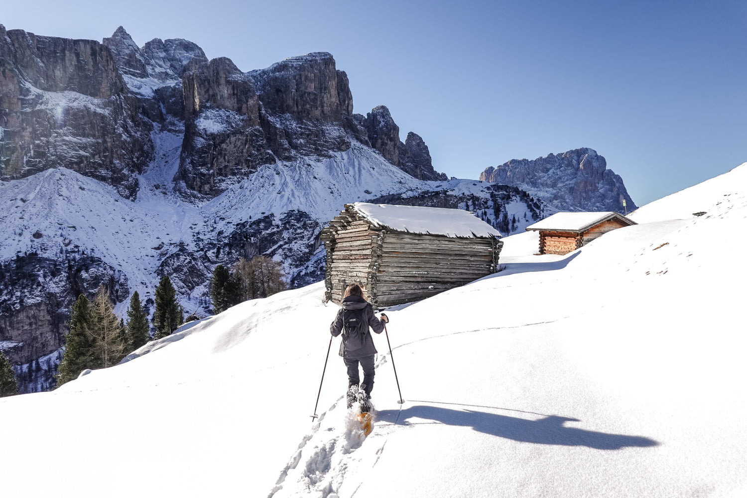 Ciaspolata Passo Gardena - Cristiano Gregnanin Guida Alpina Certificata Dolomiti