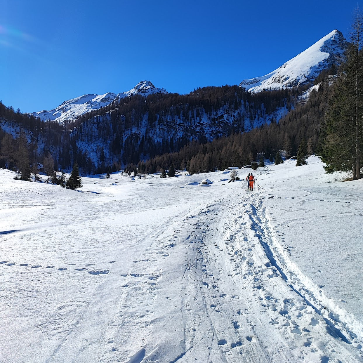 Corso base - scialpinismo - laguidalpina.it - Guida Alpina Cristiano Gregnanin - 1733523179