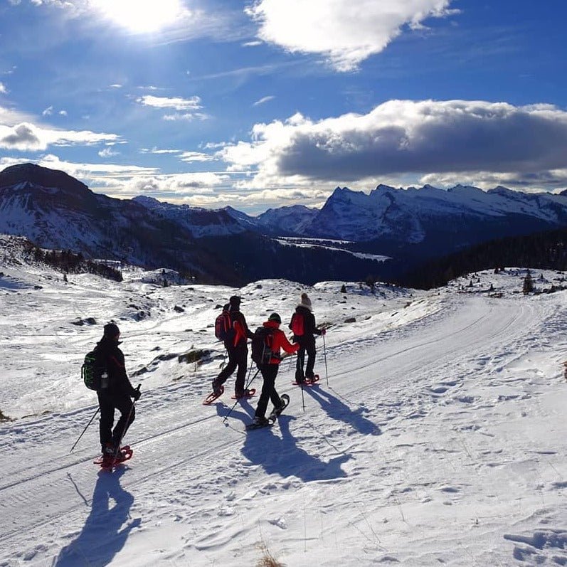 Ciaspolata al rifugio Laresei da Passo Valles - laguidalpina.it - Guida Alpina Cristiano Gregnanin