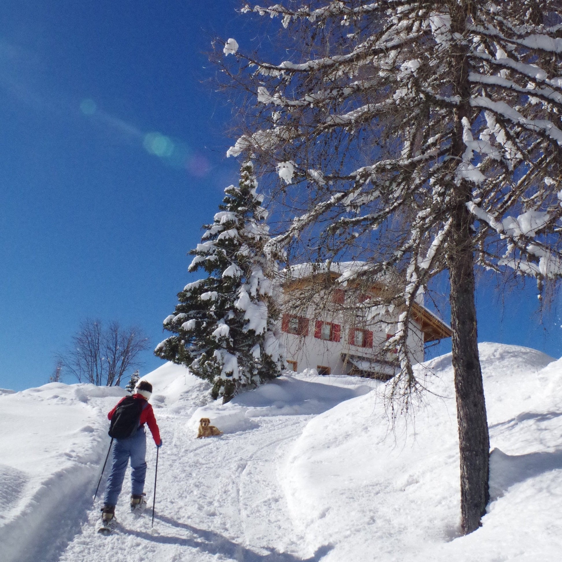 Ciaspolata notturna a passo Duran con cena in rifugio - Cristiano Gregnanin Guida Alpina Certificata Dolomiti