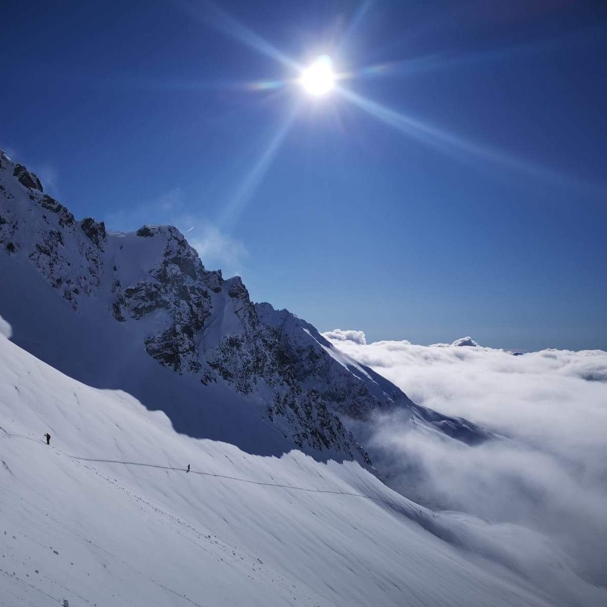 Gran Paradiso 4061 mt - Scialpinismo - laguidalpina.it - Guida Alpina Cristiano Gregnanin