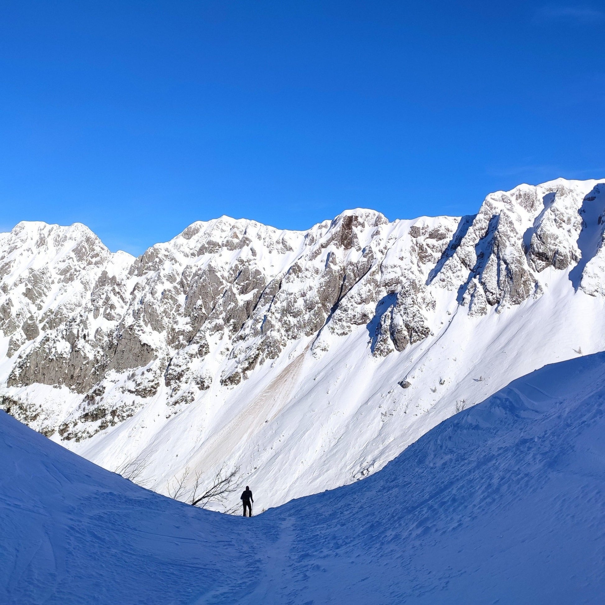Sci alpinismo al monte Cornor - Cristiano Gregnanin Guida Alpina Certificata Dolomiti