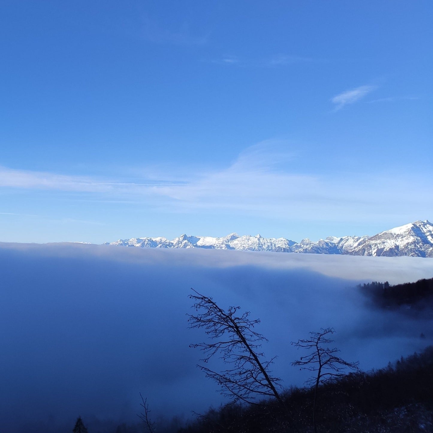 Sci alpinismo al monte Cornor - laguidalpina.it - Guida Alpina Cristiano Gregnanin
