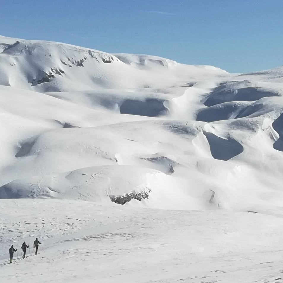 Scialpinismo - uscita alto livello OSA - laguidalpina.it - Guida Alpina Cristiano Gregnanin